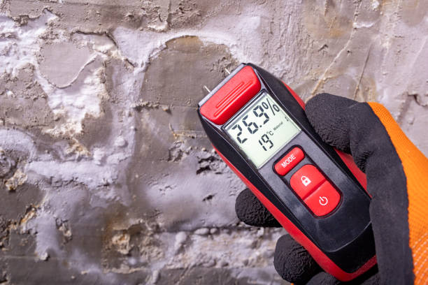 Best Commercial Mold Removal  in Levittown, NY