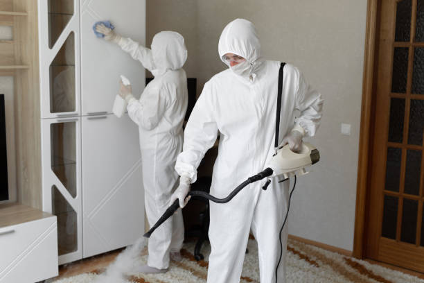 Best Mold Damage Repair  in Levittown, NY