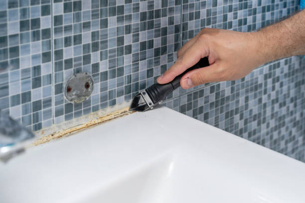 Best Local Mold Removal Service  in Levittown, NY