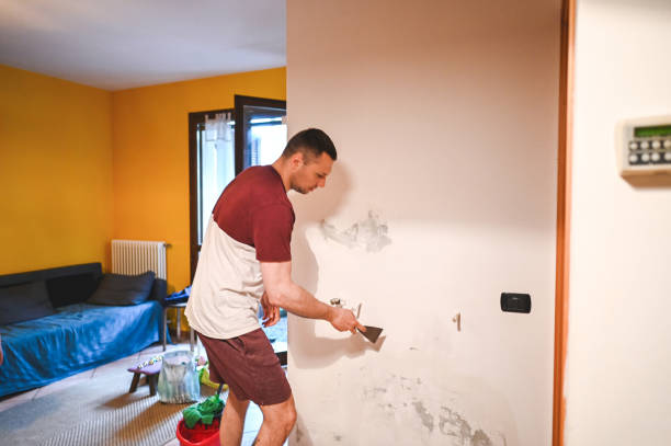 Best Affordable Mold Removal  in Levittown, NY